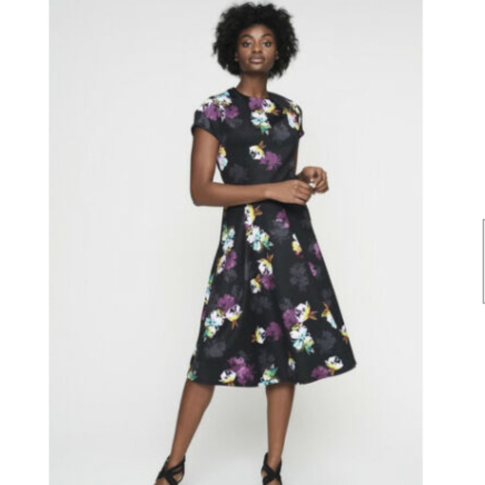 LONG TALL SALLY Fit and Flare Floral Scuba Dress